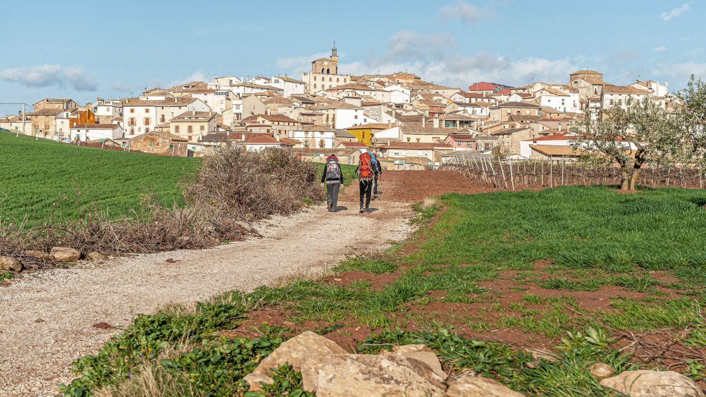 Camino de Santiago - Way of St James - photo by Burkard Meyendriesch, pexels.com